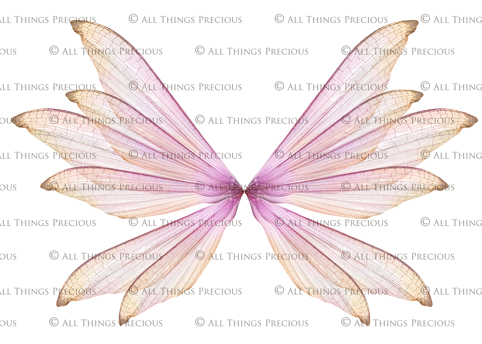 Digital Faery Wing Overlays. Png overlays for photoshop. Photography editing. High resolution, 300dpi fairy wings. Overlays for photography. Digital stock and resources. Graphic design. Fairy Photos. Colourful Fairy wings. Faerie Wings. ATP Textures. Overlays. Actions, Textures, Photo Resources, Photoshop. 