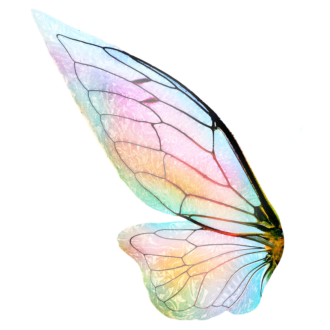 Digital Overlays for Photographers, Graphic design, scrapbooking and creatives.. Fairy Wings. High resolution, fine art digital assets for creating fantasy art.  Png overlay with transparent background. Magical Edit. Png Photo editing art assets.