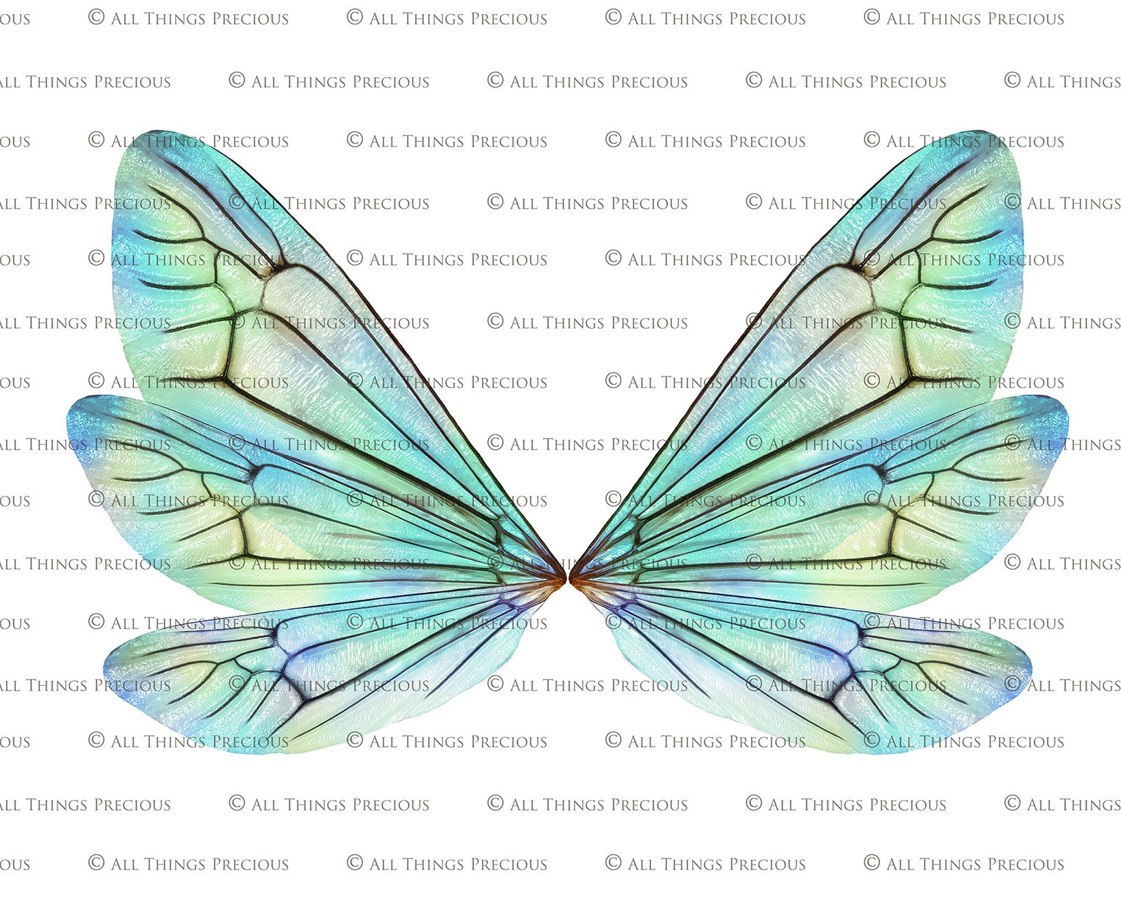 Digital Faery Wing Overlays. Png overlays for photoshop. Photography editing. High resolution, 300dpi fairy wings. Overlays for photography. Digital stock and resources. Graphic design. Fairy Photos. Colourful Fairy wings. Faerie Wings. ATP Textures. Overlays. Actions, Textures, Photo Resources, Photoshop. 