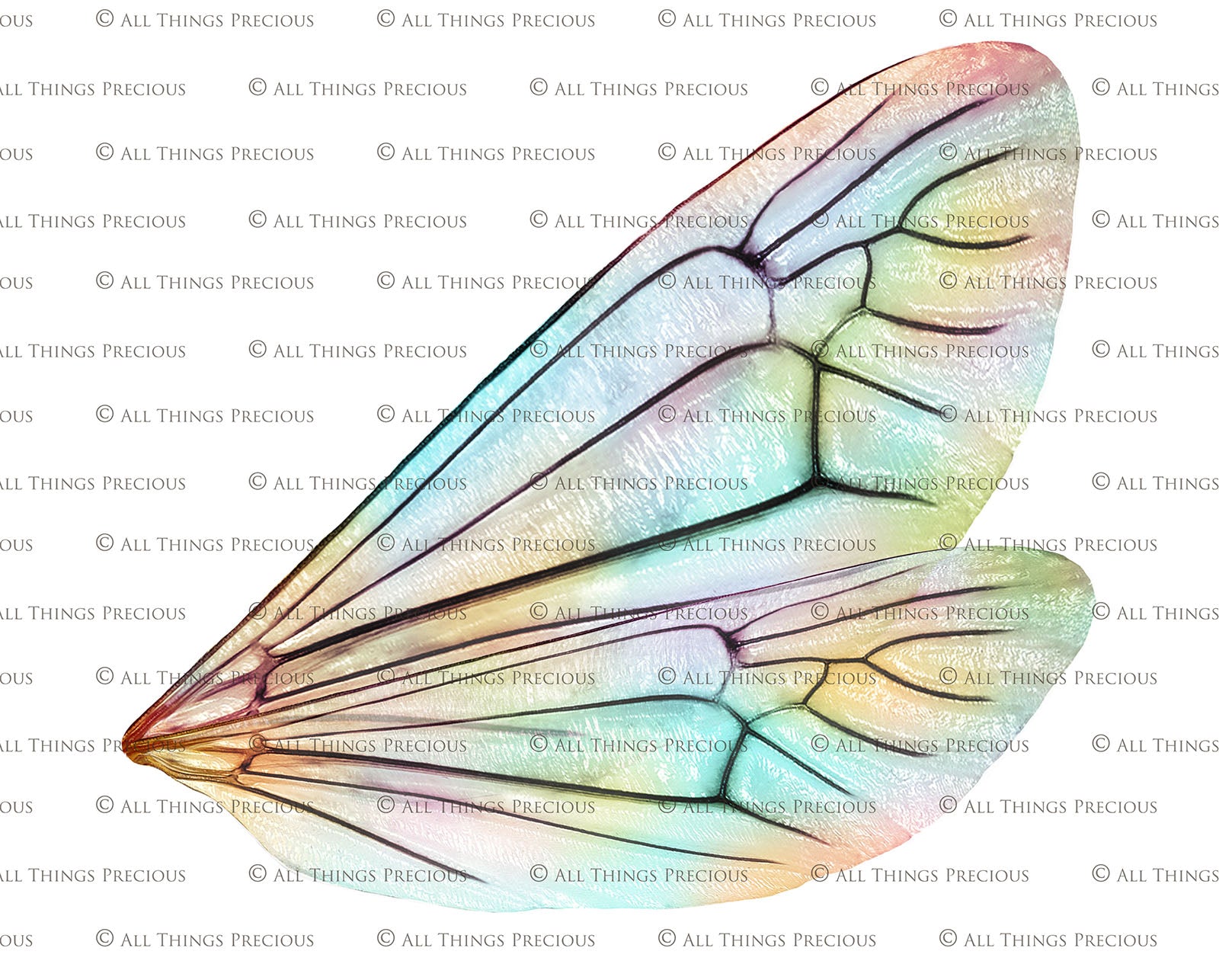 Digital Faery Wing Overlays. Png overlays for photoshop. Photography editing. High resolution, 300dpi fairy wings. Overlays for photography. Digital stock and resources. Graphic design. Fairy Photos. Colourful Fairy wings. Faerie Wings. ATP Textures. Overlays. Actions, Textures, Photo Resources, Photoshop. 