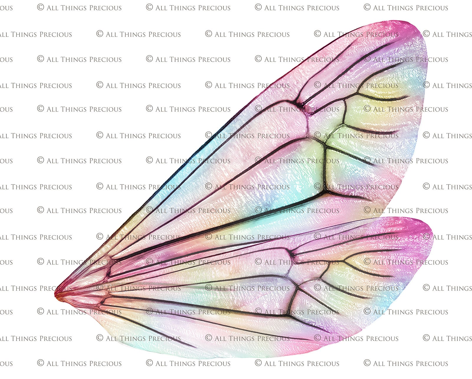 Digital Faery Wing Overlays. Png overlays for photoshop. Photography editing. High resolution, 300dpi fairy wings. Overlays for photography. Digital stock and resources. Graphic design. Fairy Photos. Colourful Fairy wings. Faerie Wings. ATP Textures. Overlays. Actions, Textures, Photo Resources, Photoshop. 