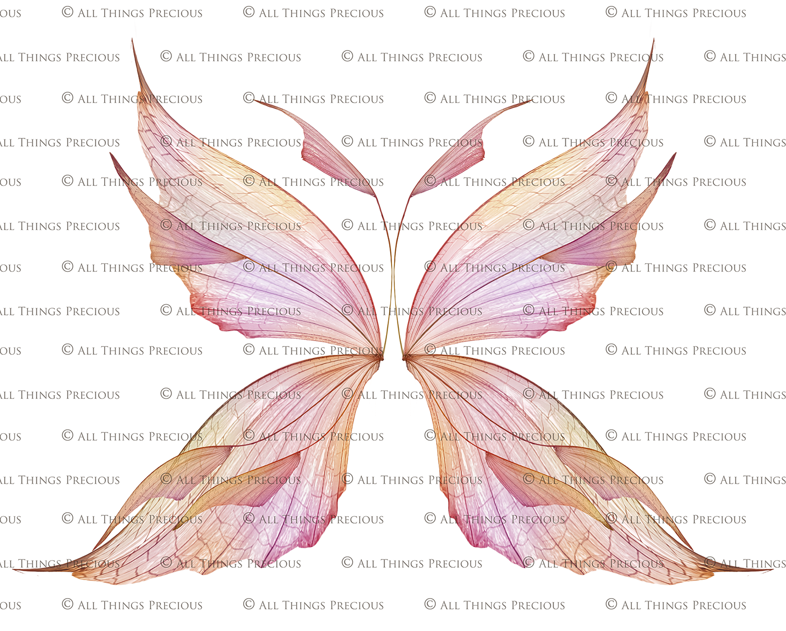 Digital Faery Wing Overlays. Png overlays for photoshop. Photography editing. High resolution, 300dpi fairy wings. Overlays for photography. Digital stock and resources. Graphic design. Fairy Photos. Colourful Fairy wings. Faerie Wings. ATP Textures. Overlays. Actions, Textures, Photo Resources, Photoshop. 