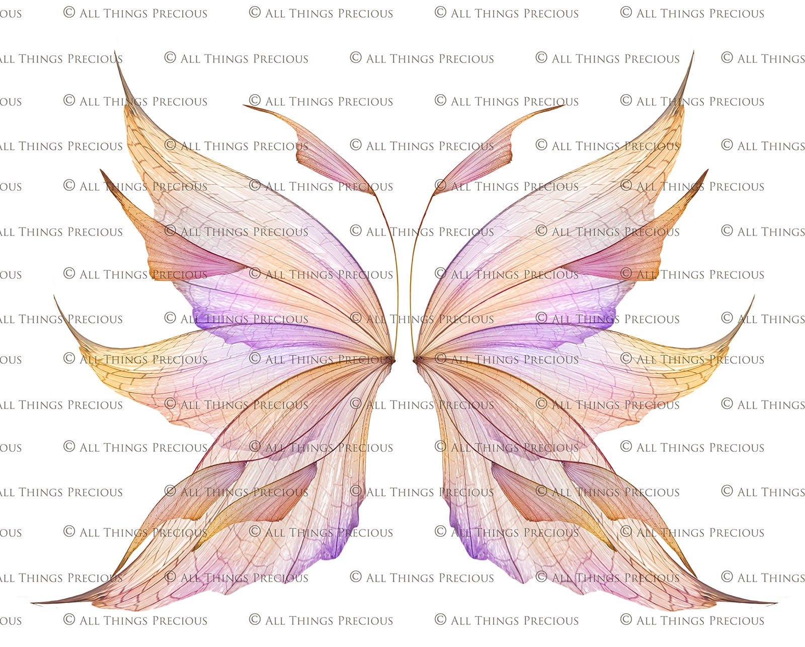 Digital Faery Wing Overlays. Png overlays for photoshop. Photography editing. High resolution, 300dpi fairy wings. Overlays for photography. Digital stock and resources. Graphic design. Fairy Photos. Colourful Fairy wings. Faerie Wings. ATP Textures. Overlays. Actions, Textures, Photo Resources, Photoshop. 