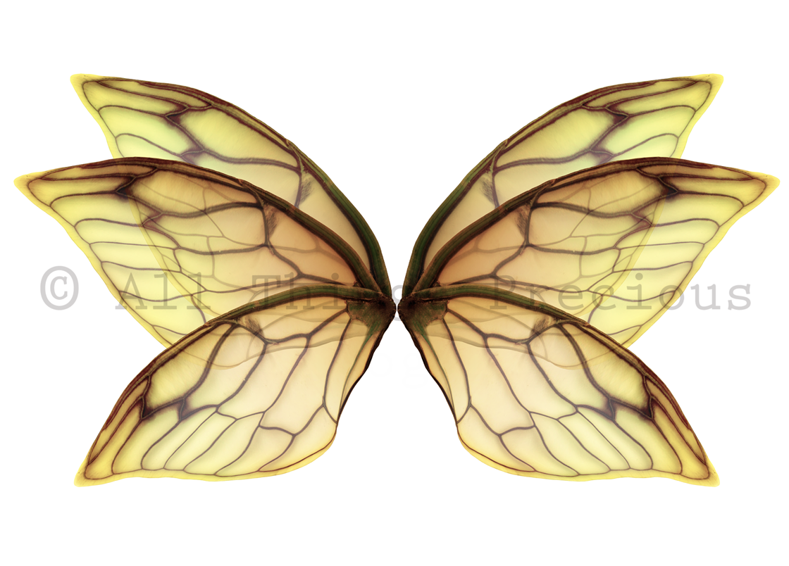 Digital Fairy Wings Overlays clipart. Png transparent see through files for photoshop. Butterfly Angel, Color, Print Photography editing. High resolution, 300dpi. Printable, Photography Graphic design assets, add on stock resources. Magical Scrapbooking design. Faery Photographer edit. Colorful Big Bundle. ATP Textures