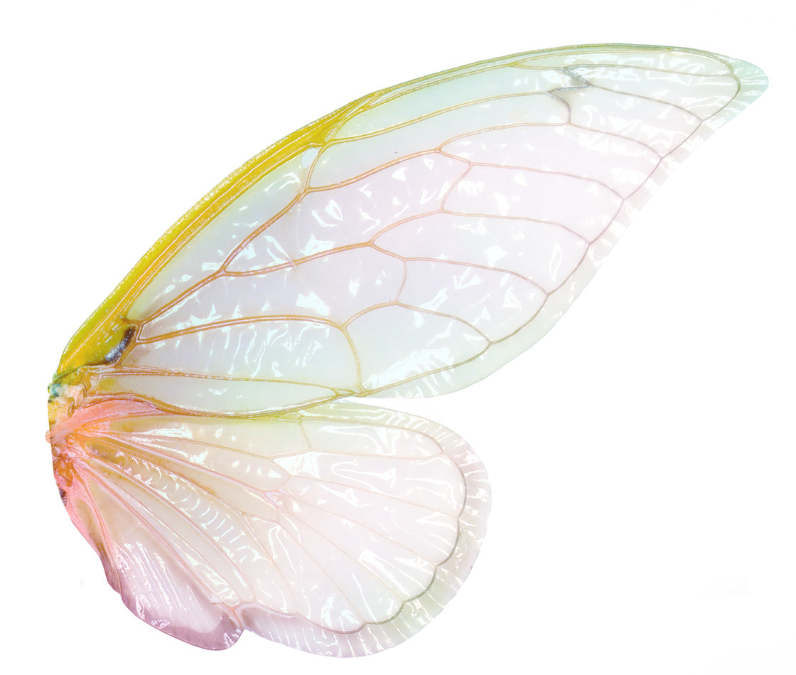 Digital Overlays for Photographers, Graphic design, scrapbooking and creatives.. Fairy Wings. High resolution, fine art digital assets for creating fantasy art.  Png overlay with transparent background. Magical Edit. Png Photo editing art assets.