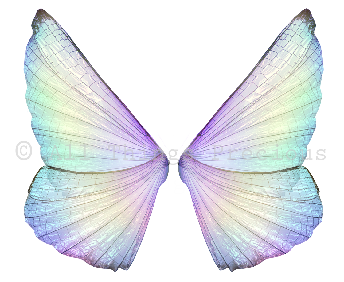 Digital Fairy Wings Overlays clipart. Png transparent see through files for photoshop. Butterfly Angel, Color, Print Photography editing. High resolution, 300dpi. Printable, Photography Graphic design assets, add on stock resources. Magical Scrapbooking design. Faery Photographer edit. Colorful Big Bundle. ATP Textures