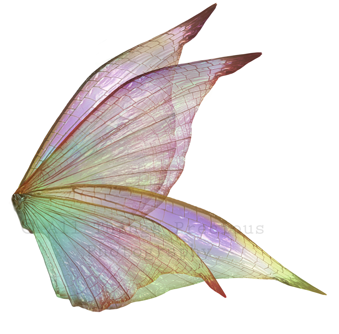 Digital Fairy Wings Overlays clipart. Png transparent see through files for photoshop. Butterfly Angel, Color, Print Photography editing. High resolution, 300dpi. Printable, Photography Graphic design assets, add on stock resources. Magical Scrapbooking design. Faery Photographer edit. Colorful Big Bundle. ATP Textures