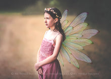 Load image into Gallery viewer, 25 Png MULTICOLOURED FAIRY WING Overlays Set 1
