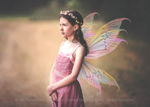 Load image into Gallery viewer, 25 Png MULTICOLOURED FAIRY WING Overlays Set 1
