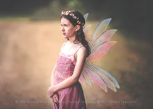 Load image into Gallery viewer, 25 Png MULTICOLOURED FAIRY WING Overlays Set 1
