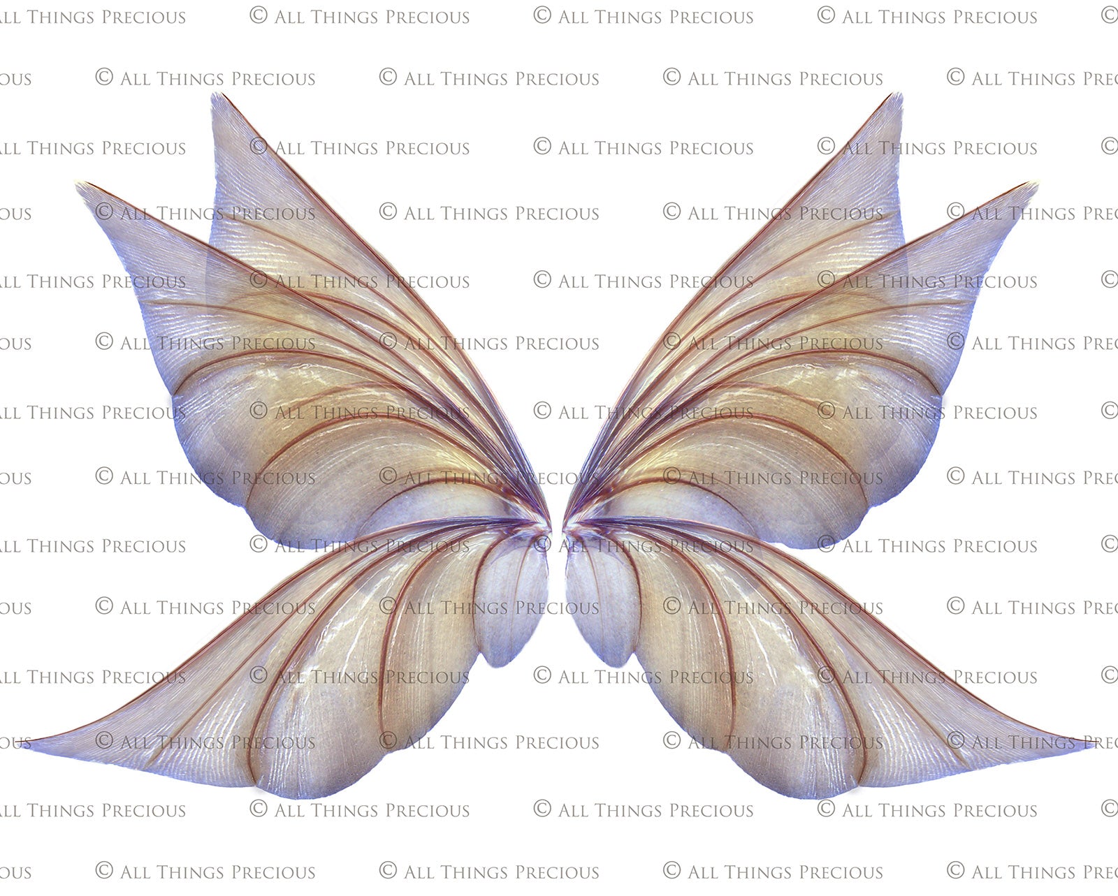 Digital Fairy Wings Overlays clipart. Png transparent see through files for photoshop. Butterfly Angel, Color, Print Photography editing. High resolution, 300dpi. Printable, Photography Graphic design assets, add on stock resources. Magical Scrapbooking design. Faery Photographer edit. Colorful Big Bundle. ATP Textures