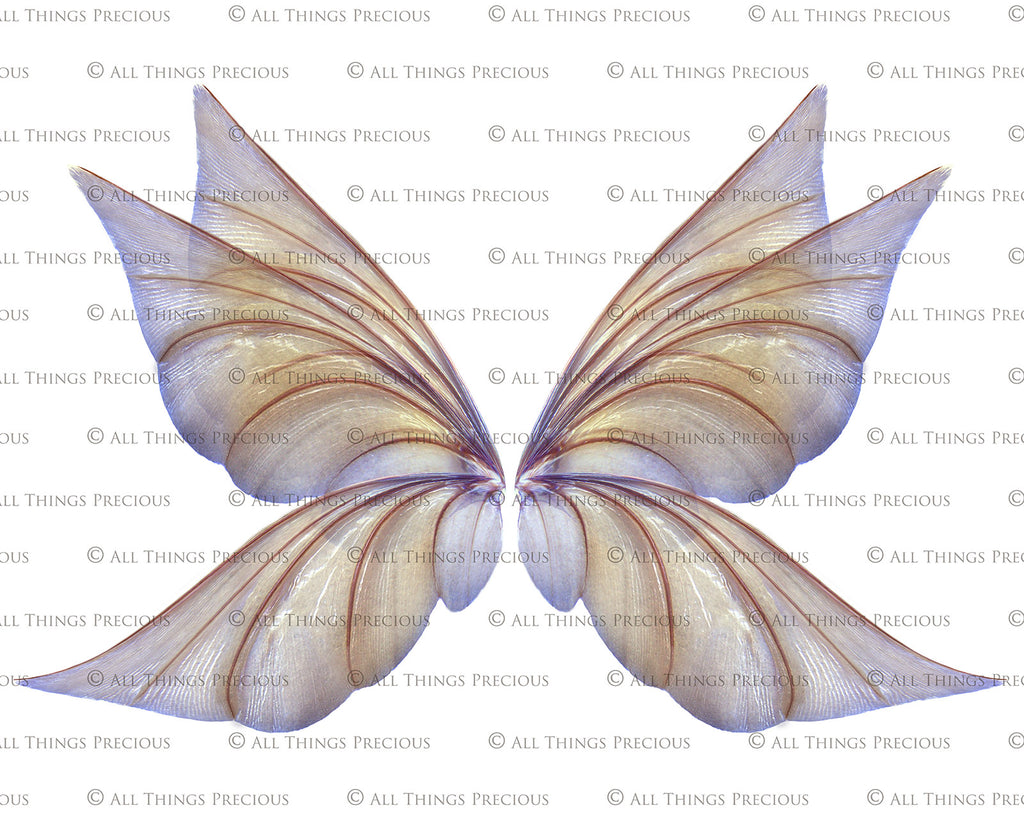 Digital Fairy Wings Overlays clipart. Png transparent see through files for photoshop. Butterfly Angel, Color, Print Photography editing. High resolution, 300dpi. Printable, Photography Graphic design assets, add on stock resources. Magical Scrapbooking design. Faery Photographer edit. Colorful Big Bundle. ATP Textures