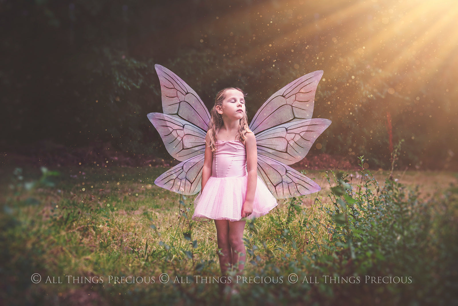 Digital Faery Wing Overlays. Png overlays for photoshop. Photography editing. High resolution, 300dpi fairy wings. Overlays for photography. Digital stock and resources. Graphic design. Fairy Photos. Colourful Fairy wings. Faerie Wings. ATP Textures. Overlays. Actions, Textures, Photo Resources, Photoshop. 