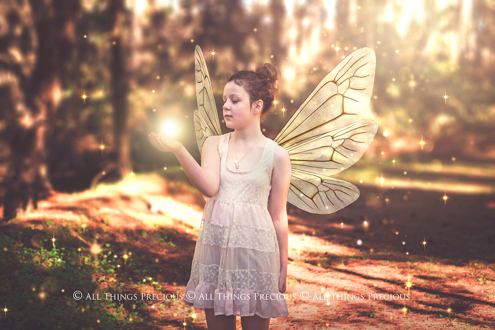 Digital Faery Wing Overlays. Png overlays for photoshop. Photography editing. High resolution, 300dpi fairy wings. Overlays for photography. Digital stock and resources. Graphic design. Fairy Photos. Colourful Fairy wings. Faerie Wings. ATP Textures. Overlays. Actions, Textures, Photo Resources, Photoshop. 