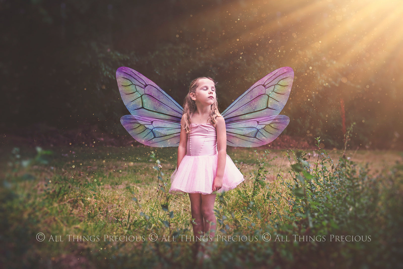 Digital Faery Wing Overlays. Png overlays for photoshop. Photography editing. High resolution, 300dpi fairy wings. Overlays for photography. Digital stock and resources. Graphic design. Fairy Photos. Colourful Fairy wings. Faerie Wings. ATP Textures. Overlays. Actions, Textures, Photo Resources, Photoshop. 