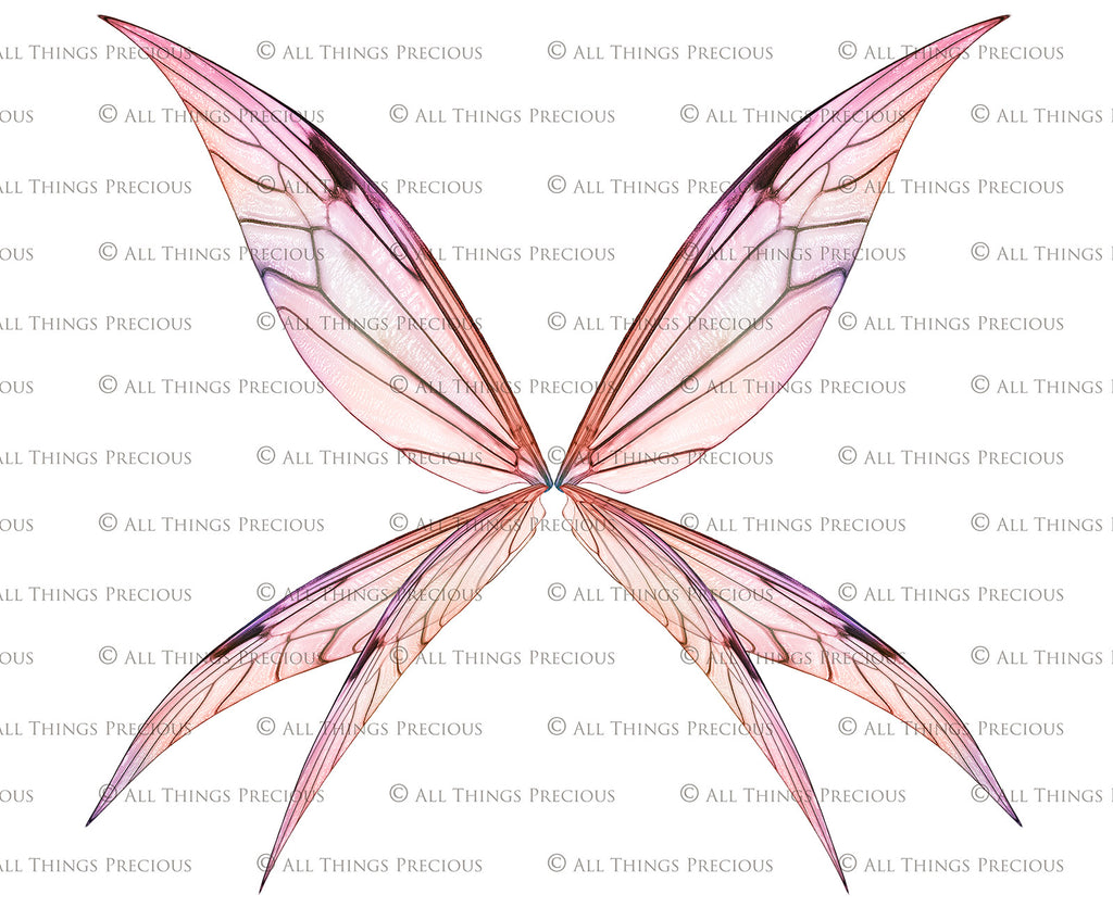 Digital Overlays for Photographers, Graphic design, scrapbooking and creatives.. Fairy Wings. High resolution, fine art digital assets for creating fantasy art.  Png overlay with transparent background. Magical Edit. Png Photo editing art assets.