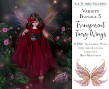 Load image into Gallery viewer, 30 Png FAIRY WING Overlays - VARIETY PACK 5
