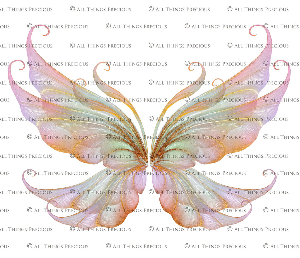 Fairy Wings Overlays For Photography, Photoshop, Digital art and Creatives. Transparent, high resolution wings for photographers. These are gorgeous PNG overlays for fantasy digital art and Child portraiture. colour, White fairy wings. Photo Overlays. Digital download. Graphic effects. ATP Textures