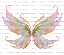Load image into Gallery viewer, 30 Png FAIRY WING Overlays - VARIETY BUNDLE 6
