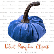 Load image into Gallery viewer, VELVET PUMPKIN CLIPART -  Digital Overlays
