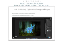 Load image into Gallery viewer, GLOWING DEER Digital Overlays
