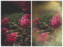 Load image into Gallery viewer, Png Overlays for photographers, Photoshop. Peek through Overlay, Vignette Overlays, Textures, High resolution, Digital Background by ATP textures.
