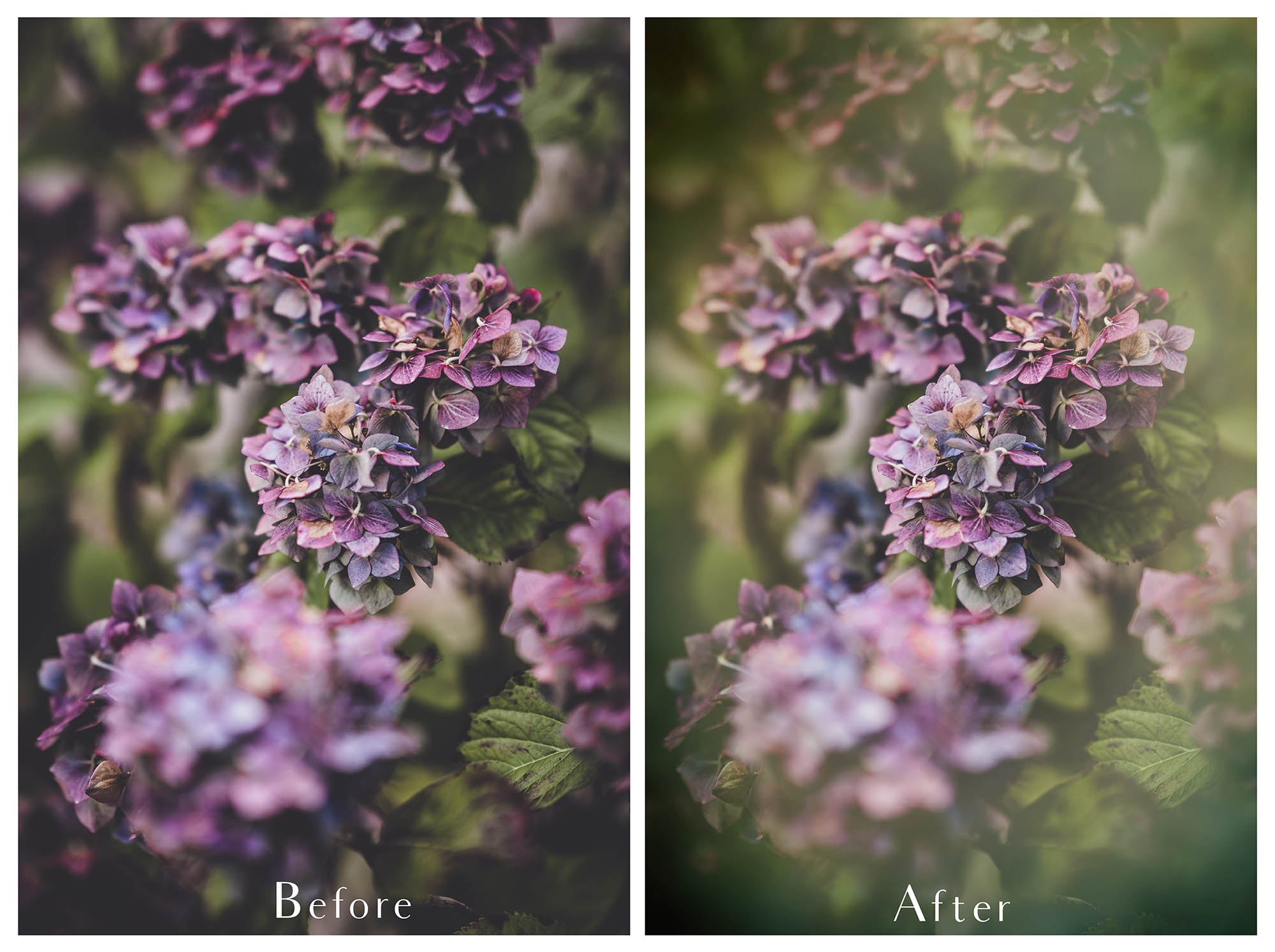 Png Overlays for photographers, Photoshop. Peek through Overlay, Vignette Overlays, Textures, High resolution, Digital Background by ATP textures.