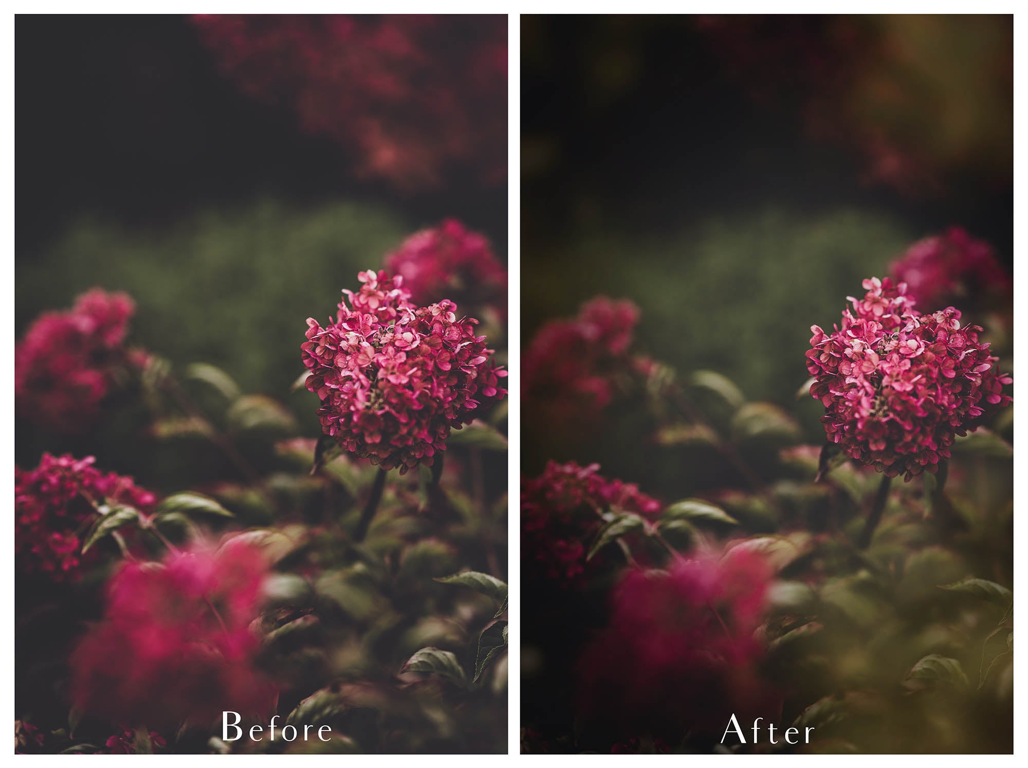 Png Overlays for photographers, Photoshop. Peek through Overlay, Vignette Overlays, Textures, High resolution, Digital Background by ATP textures.Png Overlays for photographer and digital artists. Jellyfish Overlays, Bubble Overlays, fine art photo overlays by ATP textures. High resolution, 300dpi.