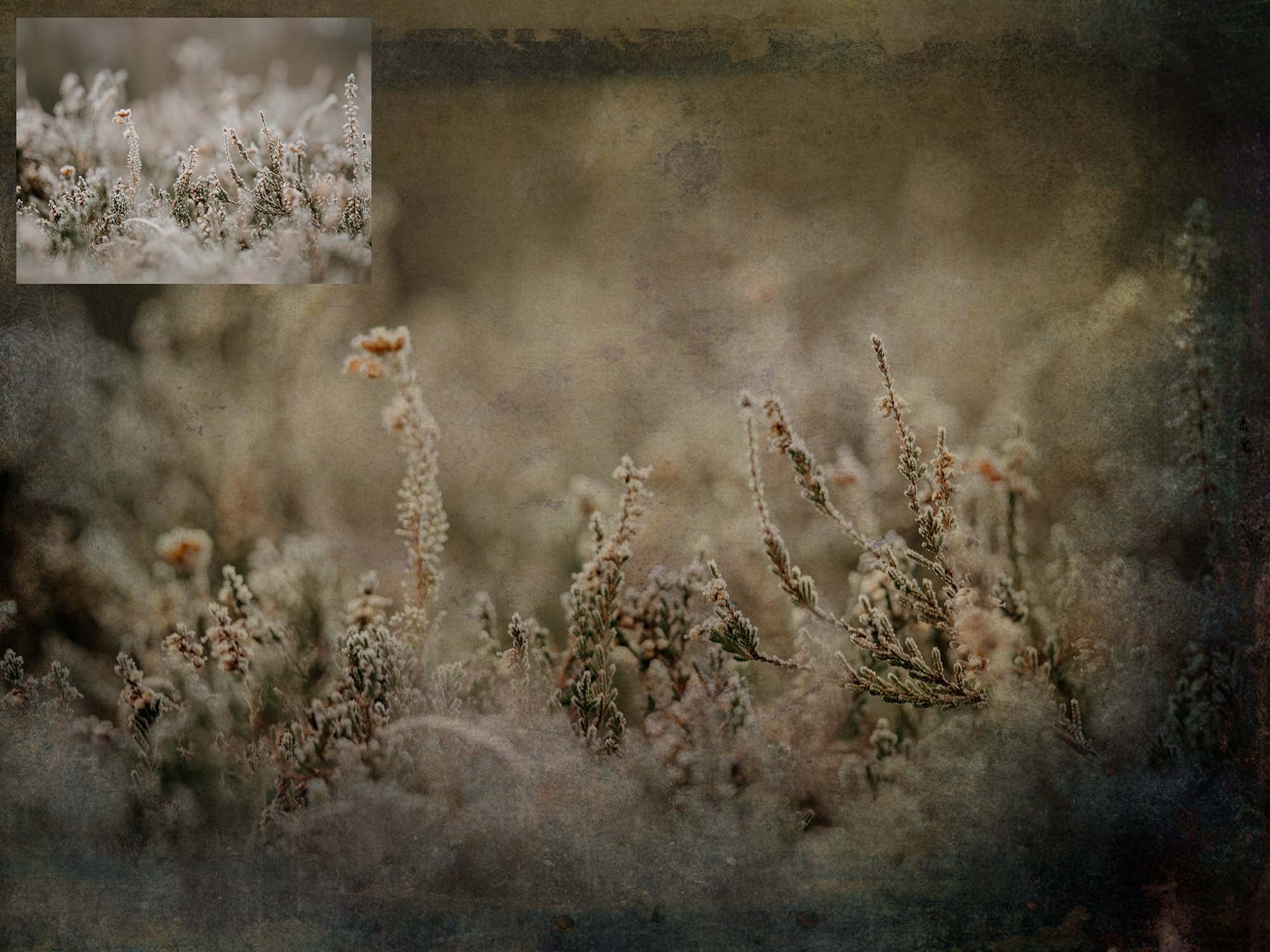 Vintage aged textures. Sweet Textures. Fine art texture for photographers, digital editing. Photo Overlays. Antique, Old World, Grunge, Light, Bundle. Textured printable Canvas, Colour, black and white, Bundle. High resolution, 300dpi Graphic Assets for photography, digital scrapbooking and design. By ATP Textures