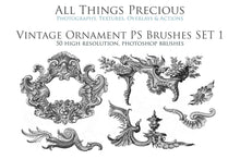 Load image into Gallery viewer, VINTAGE ORNAMENTS Set 1 - Photoshop Brushes
