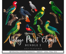 Load image into Gallery viewer, VINTAGE PARROT Set 2 - Clipart &amp; Digital Prints
