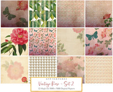 Load image into Gallery viewer, VINTAGE ROSE Digital Papers Set 2
