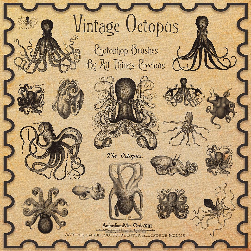 PHOTOSHOP BRUSHES - Vintage Octopus - FREE DOWNLOAD