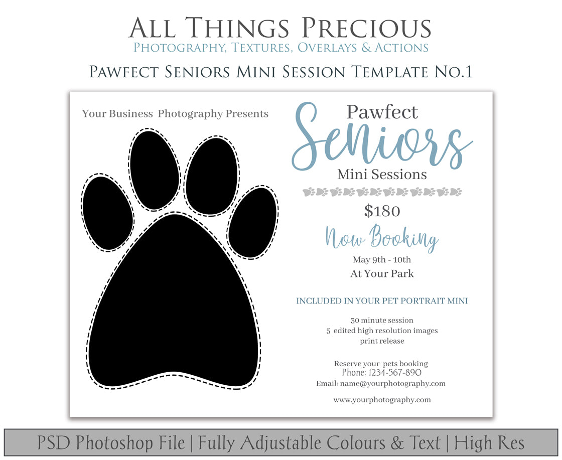 PAWFECT SENIORS PAWTRAIT MINI SESSION - PSD Template No. 3