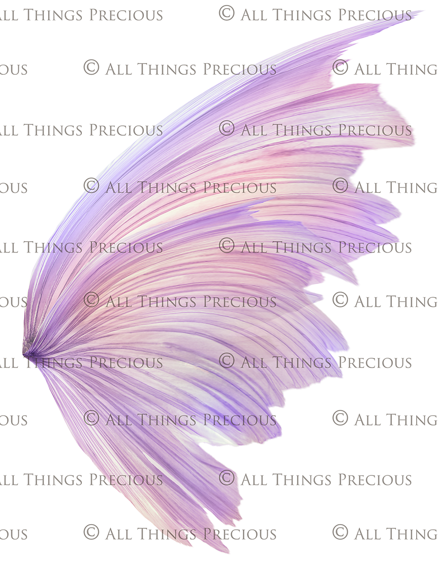 Png transparent Fairy Wing Overlays For Photographers, Photoshop, Digital art and Creatives. Transparent, high resolution, faery wings for photography! These are gorgeous PNG overlays for fantasy digital art and Child portraiture. These are white fairy wings. Graphic digital assets for design. Atp Textures