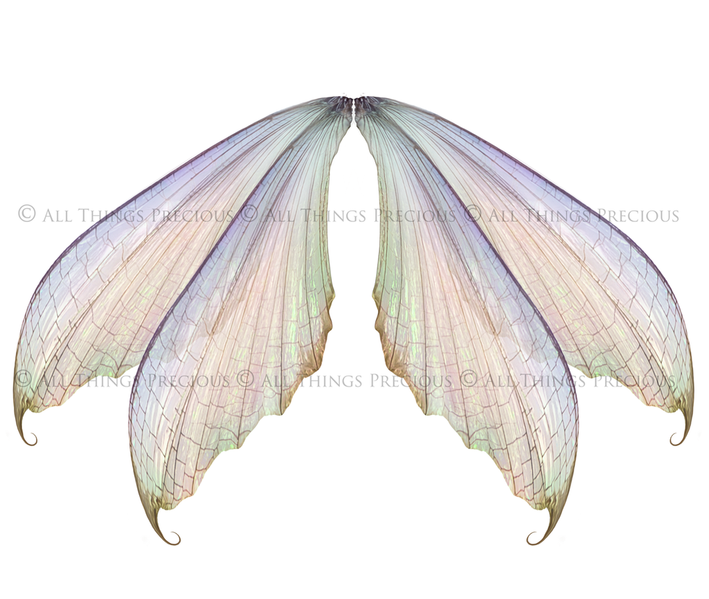 Digital Faery Wing Overlays. Png overlays for photoshop. Photography editing. High resolution, 300dpi fairy wings. Overlays for photography. Digital stock and resources. Graphic design. Fairy Photos. Colourful Fairy wings. Faerie Wings. ATP Textures. Overlays. Actions, Textures, Photo Resources, Photoshop. 