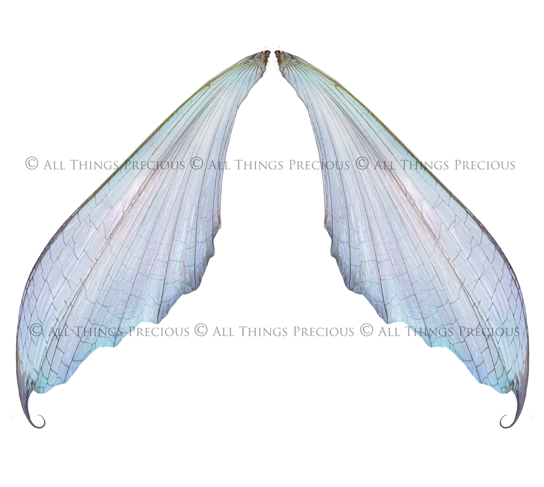 Digital Overlays for Photographers, Graphic design, scrapbooking and creatives.. Fairy Wings. High resolution, fine art digital assets for creating fantasy art.  Png overlay with transparent background. Magical Edit. Png Photo editing art assets.