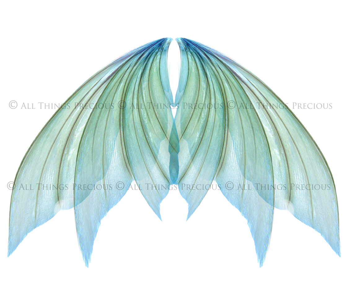 Digital Faery Wing Overlays. Png overlays for photoshop. Photography editing. High resolution, 300dpi fairy wings. Overlays for photography. Digital stock and resources. Graphic design. Fairy Photos. Colourful Fairy wings. Faerie Wings. ATP Textures. Overlays. Actions, Textures, Photo Resources