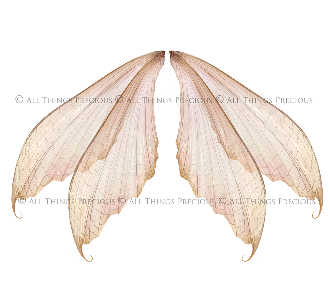 Digital Overlays for Photographers, Graphic design, scrapbooking and creatives.. Fairy Wings. High resolution, fine art digital assets for creating fantasy art.  Png overlay with transparent background. Magical Edit. Png Photo editing art assets.