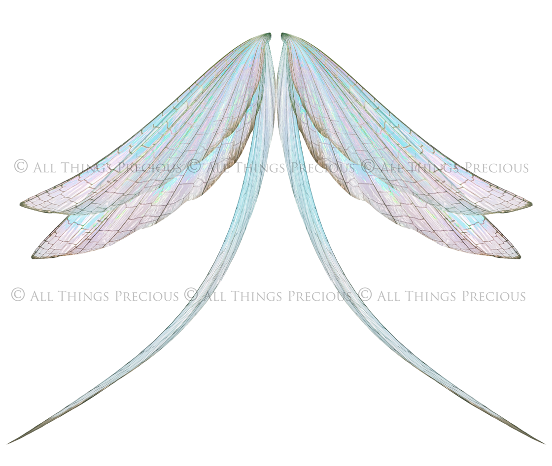 Digital Overlays for Photographers, Graphic design, scrapbooking and creatives.. Fairy Wings. High resolution, fine art digital assets for creating fantasy art.  Png overlay with transparent background. Magical Edit. Png Photo editing art assets.