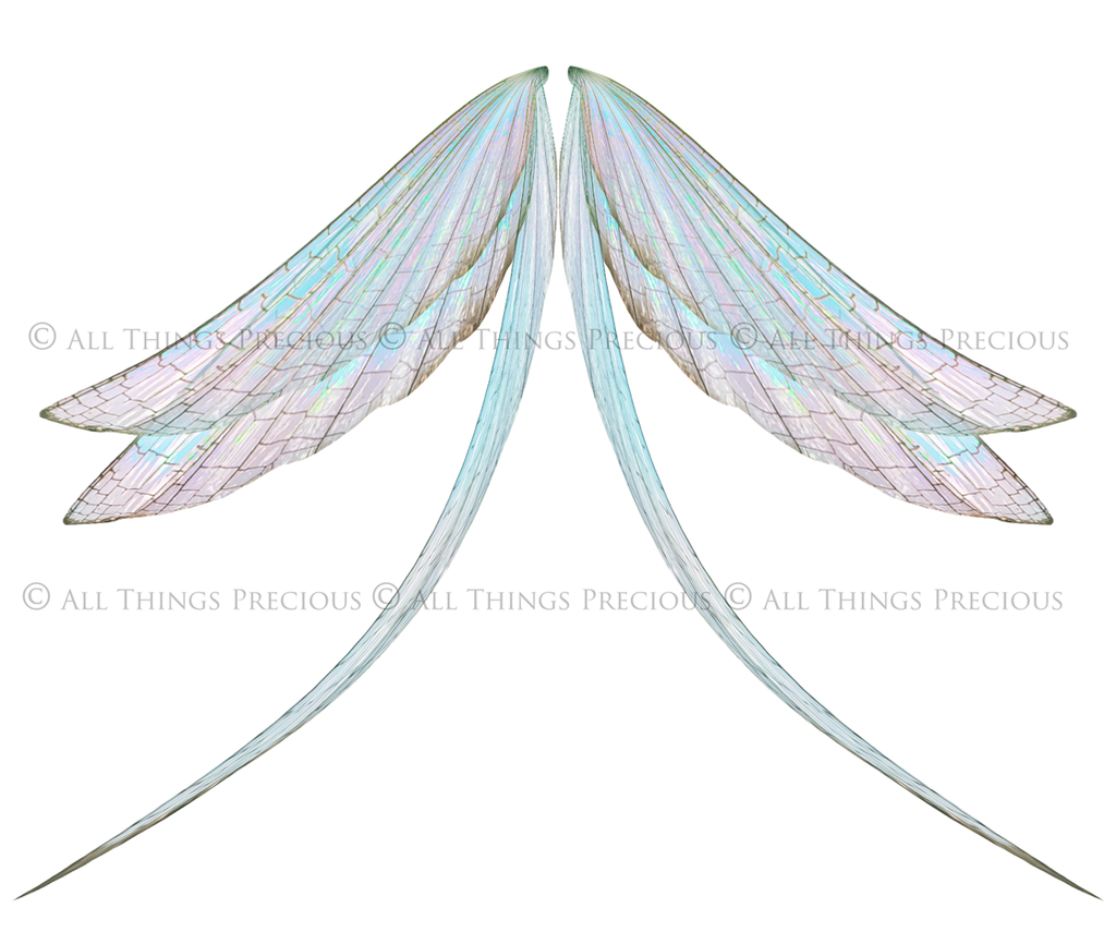 Digital Overlays for Photographers, Graphic design, scrapbooking and creatives.. Fairy Wings. High resolution, fine art digital assets for creating fantasy art.  Png overlay with transparent background. Magical Edit. Png Photo editing art assets.