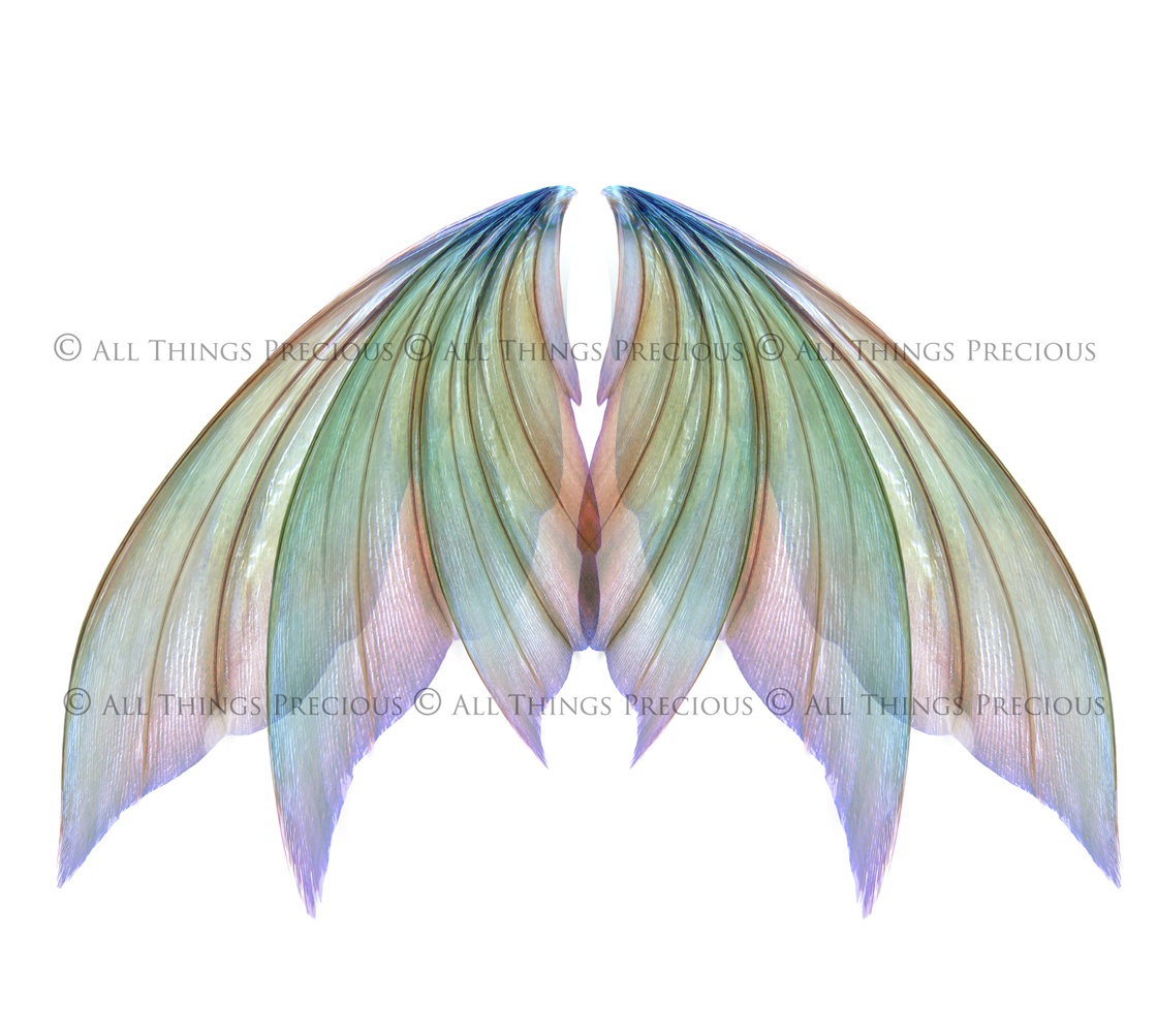 Digital Overlays for Photographers, Graphic design, scrapbooking and creatives.. Fairy Wings. High resolution, fine art digital assets for creating fantasy art.  Png overlay with transparent background. Magical Edit. Png Photo editing art assets.