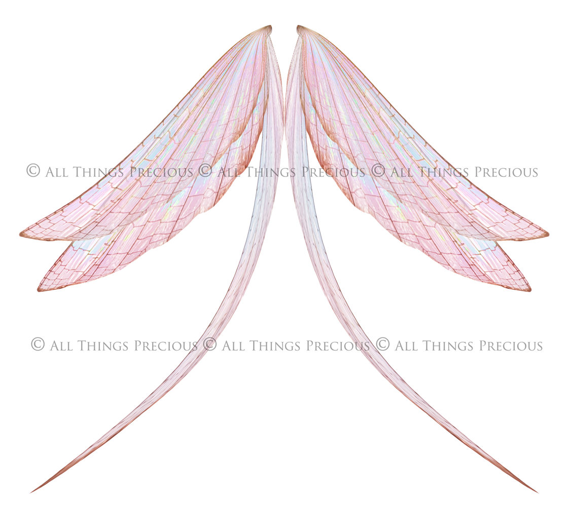 Digital Overlays for Photographers, Graphic design, scrapbooking and creatives.. Fairy Wings. High resolution, fine art digital assets for creating fantasy art.  Png overlay with transparent background. Magical Edit. Png Photo editing art assets.