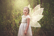 Load image into Gallery viewer, Digital Faery Wing Overlays! Fairy wings, Png overlays for photoshop. Photography editing. High resolution, 300dpi fairy wings. Overlays for photography. Digital stock and resources. Graphic design. Fairy Photos. Colourful Fairy wings. Faerie Wings.
