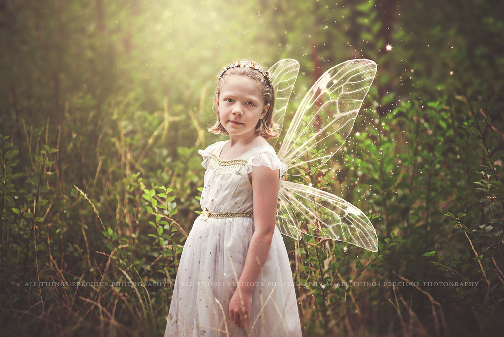 Digital Faery Wing Overlays! Fairy wings, Png overlays for photoshop. Photography editing. High resolution, 300dpi fairy wings. Overlays for photography. Digital stock and resources. Graphic design. Fairy Photos. Colourful Fairy wings. Faerie Wings.
