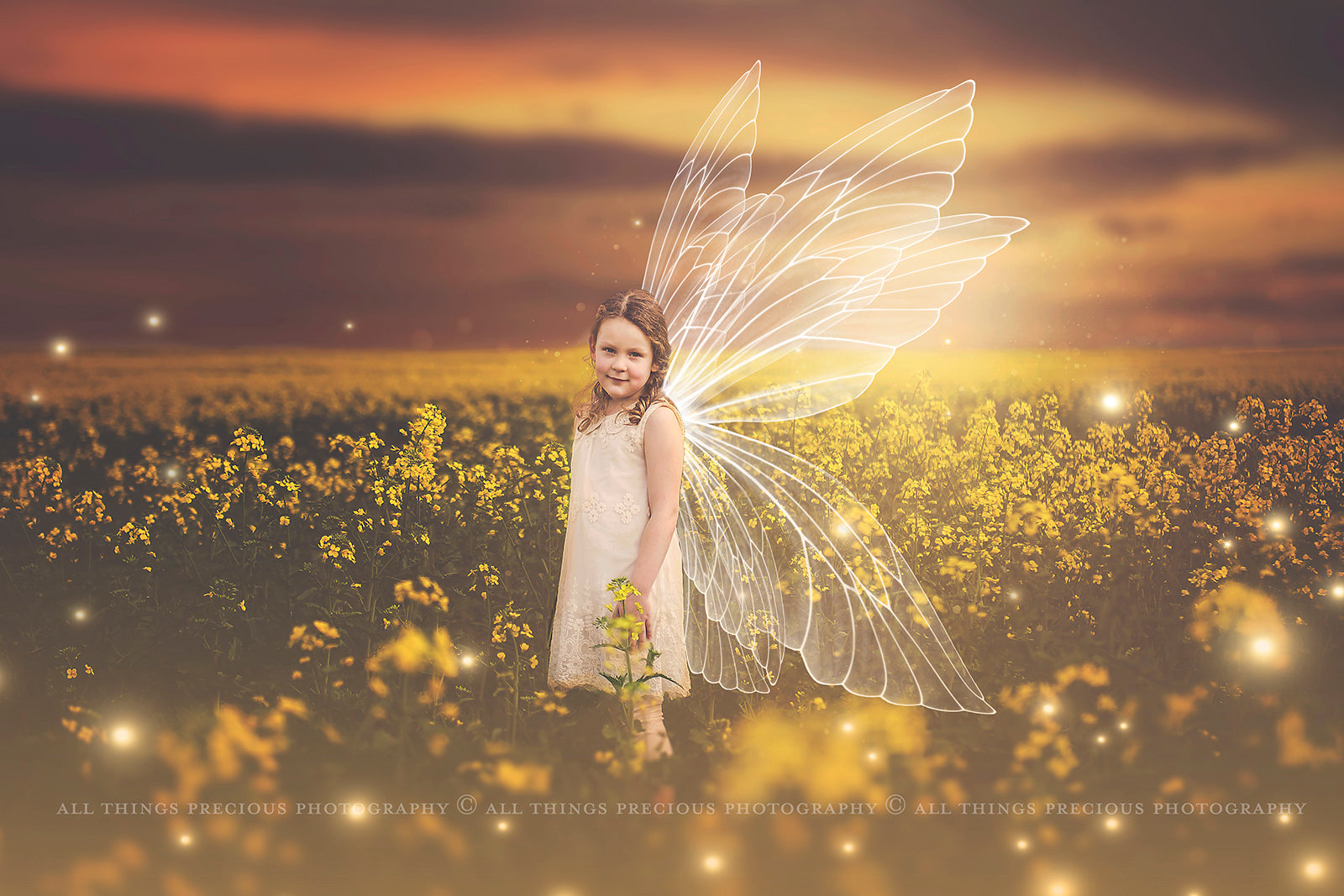 Digital Faery Wing Overlays! Fairy wings, Png overlays for photoshop. Photography editing. High resolution, 300dpi fairy wings. Overlays for photography. Digital stock and resources. Graphic design. Fairy Photos. Colourful Fairy wings. Faerie Wings.