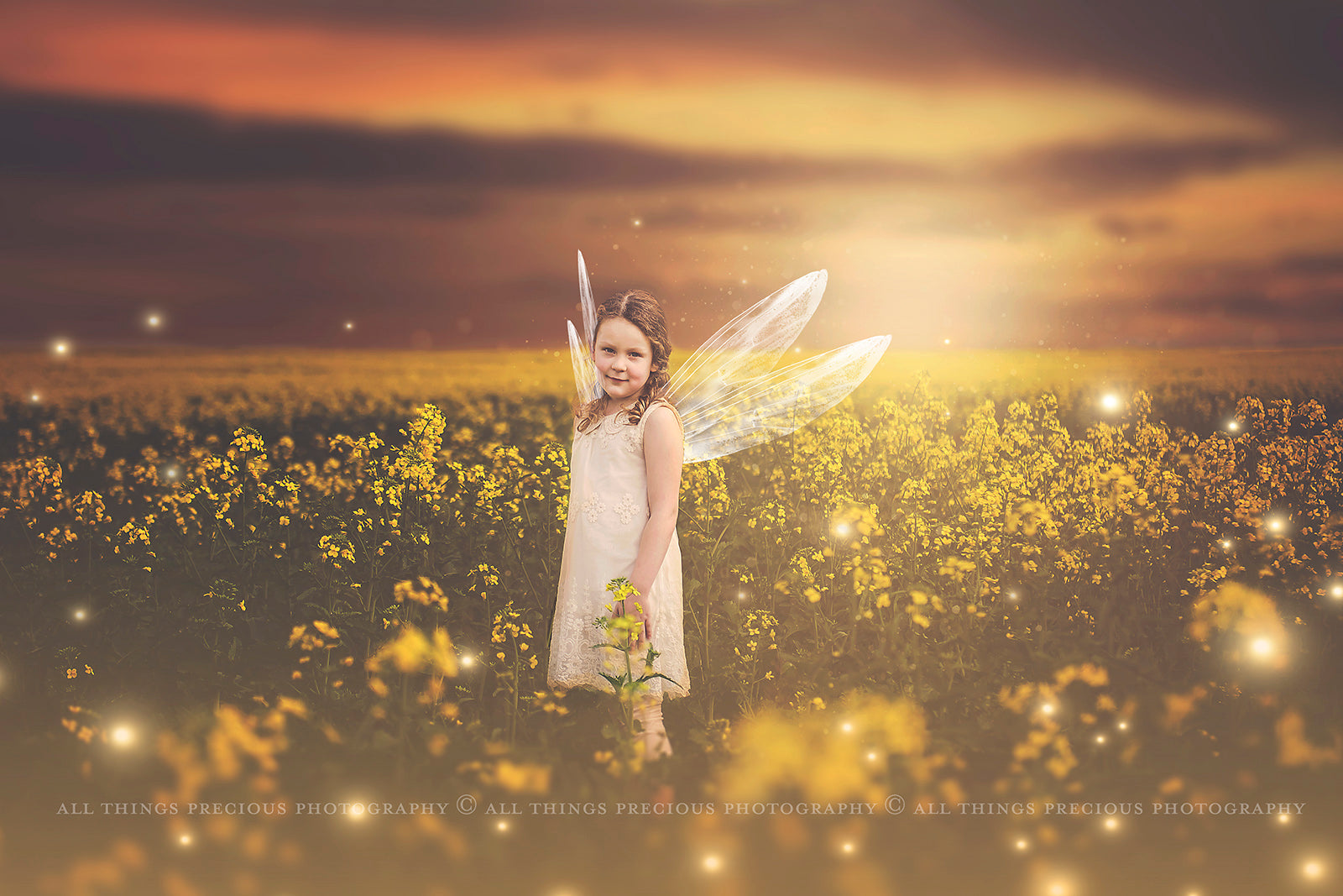 Digital Faery Wing Overlays! Fairy wings, Png overlays for photoshop. Photography editing. High resolution, 300dpi fairy wings. Overlays for photography. Digital stock and resources. Graphic design. Fairy Photos. Colourful Fairy wings. Faerie Wings.