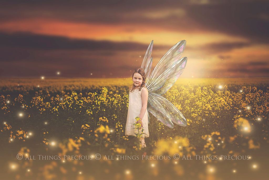 Digital Faery Wing Overlays. Png overlays for photoshop. Photography editing. High resolution, 300dpi fairy wings. Overlays for photography. Digital stock and resources. Graphic design. Fairy Photos. Colourful Fairy wings. Faerie Wings. ATP Textures. Overlays. Actions, Textures, Photo Resources, Photoshop. 