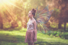 Load image into Gallery viewer, 20 Png FAIRY WING Overlays Set 29
