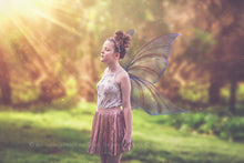 Load image into Gallery viewer, 20 Png FAIRY WING Overlays Set 30
